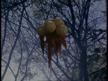 MagniasParasitesEp22