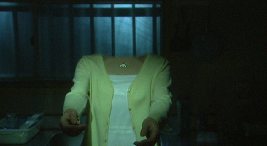 The Puzzle Woman Ultraman Wiki FANDOM powered by Wikia