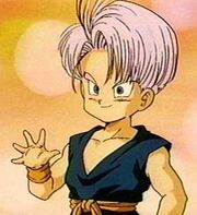Trunks2