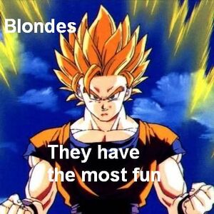 Supersaiyansimba S Funny Dbz Memes Ultra Dragon Ball Wiki Fandom