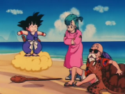 180px-GokuRoshiBulmaTurtleCloud