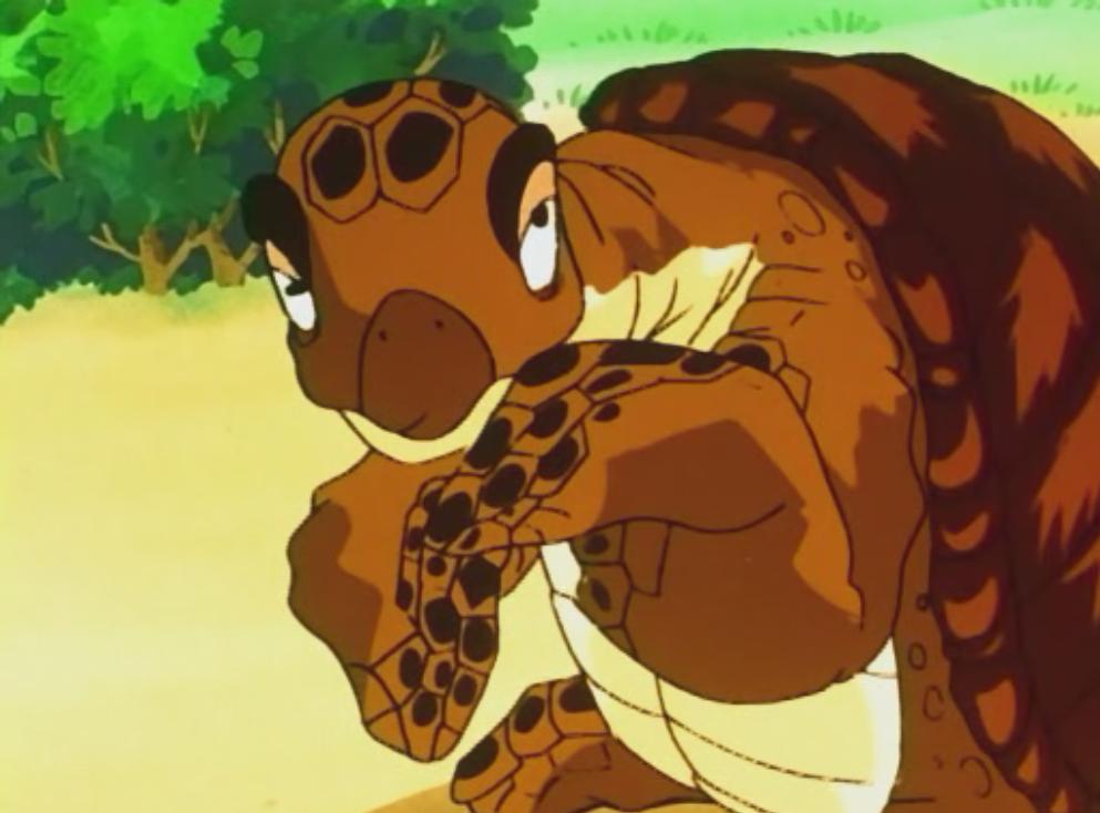 Turtle Ultra Dragon Ball Wiki Fandom