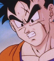 Future Gohan