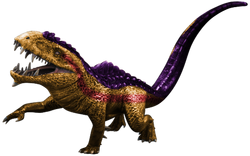 EXGatora