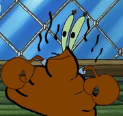 Mrkraps