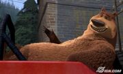 Bear