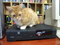 CD-i with Cat