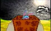Dr rabbits