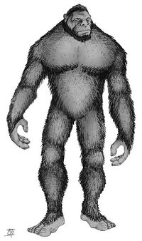 Monkey Creature