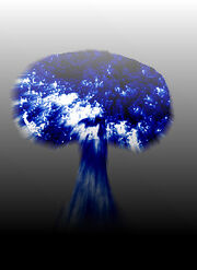 NEDM Bomb explosion