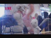 Bunny Rage