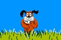 Laughing Dog