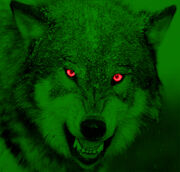 Pickle wolf