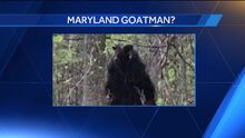 TUP Goatman
