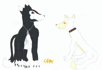 Old Friends by rebelwolfchris