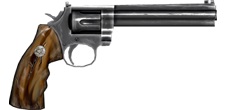Sw629