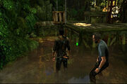 Borneo camp