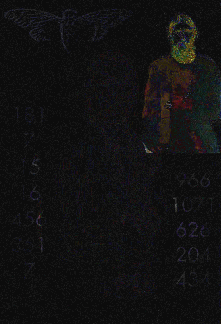 outguess decoder outguess decoder