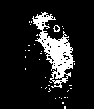 Photoshop Flowey face photorealistic