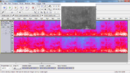 Stereogram