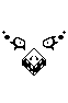 Snowdrake clear