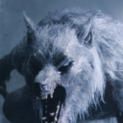 William Corvinus | Underworld Wiki | Fandom