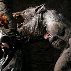 William Corvinus | Underworld Wiki | Fandom