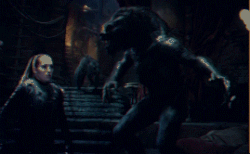 Vampire-Lycan War  Underworld Wiki  Fandom