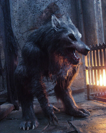 Werewolf | Underworld Wiki | Fandom