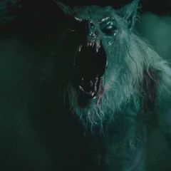 William Corvinus | Underworld Wiki | Fandom