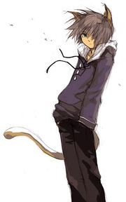 Catboy