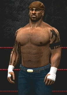 Bruiser