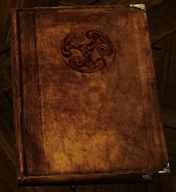 Journal