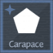 Carapace