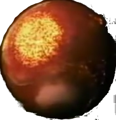 Nibiru