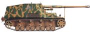 Nashorn.