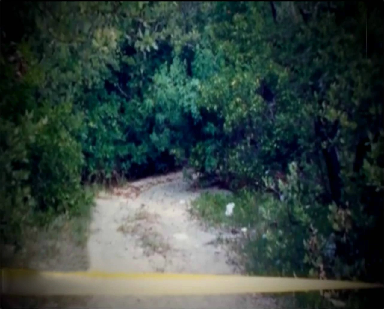 Valentine Doe Unidentified Wiki Fandom