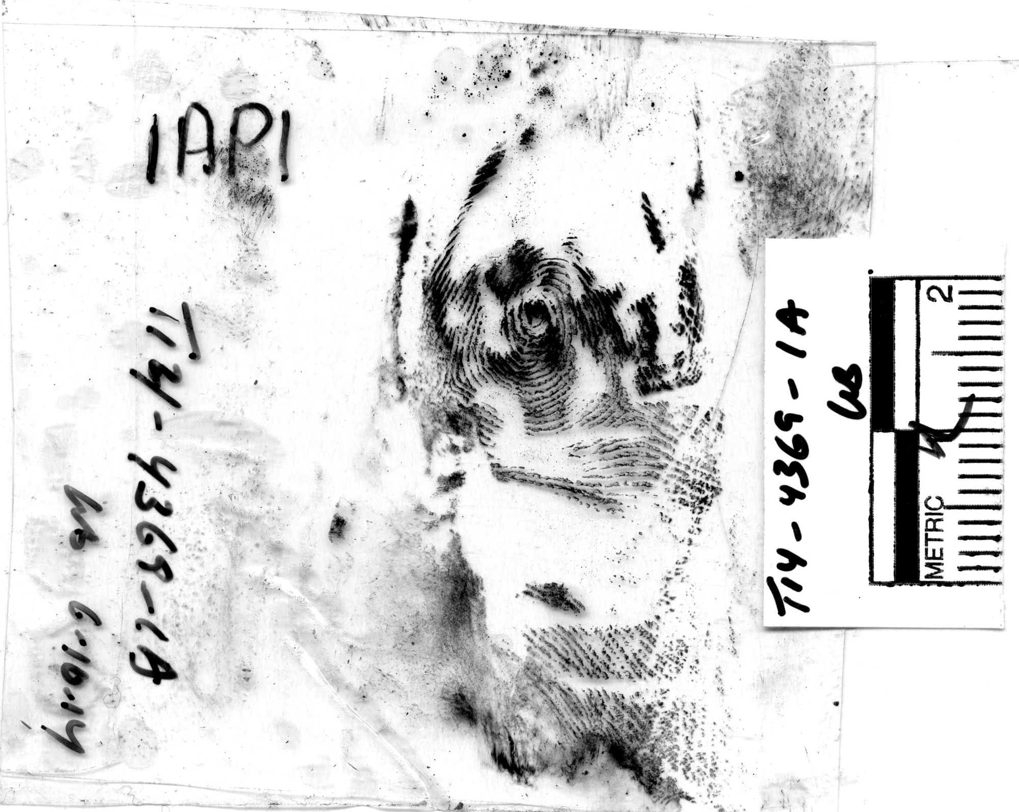 Newport News Jane Doe Unidentified Wiki FANDOM powered by Wikia