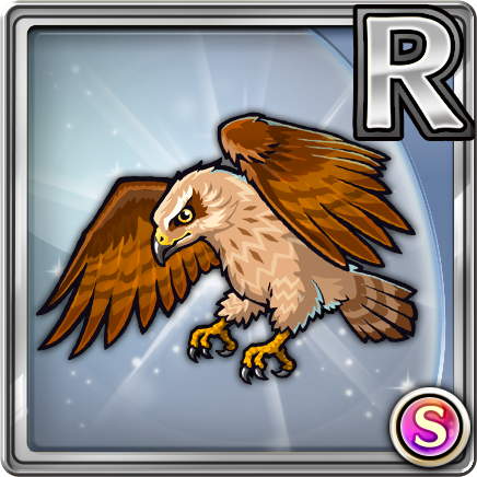 stuffed hawk