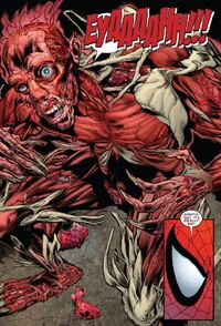 Peter Parker 2604