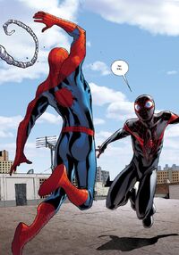 Peter Parker 4235