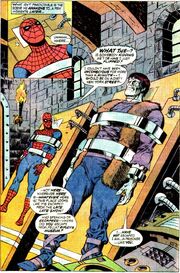Peter Parker 3183