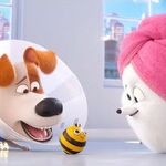 The Secret Life Of Pets 2 Ficreation Fandom