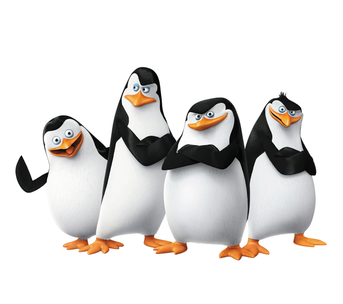 Skipper | Universal Studios Wiki | FANDOM powered by Wikia