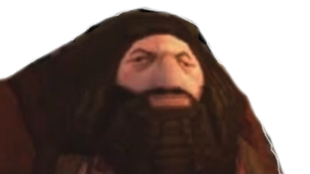 enesco hagrid