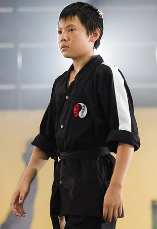 Cheng (The Karate Kid) | Universe of Smash Bros Lawl Wiki | Fandom