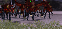 Grunts