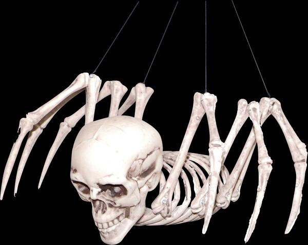 Skeleboo
