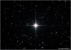 Pollux