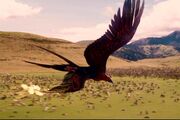 Phoenix2